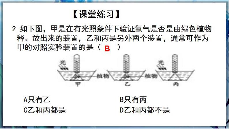3.5.1 光合作用（第2课时）第7页