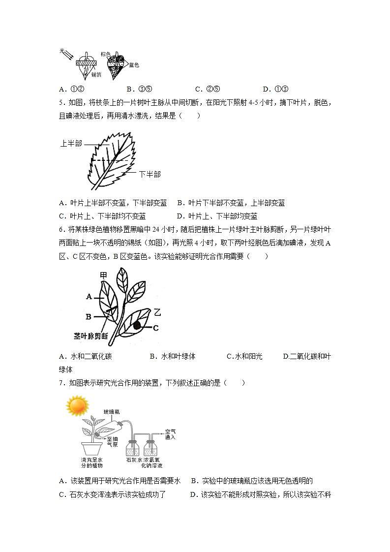 3.5.1 光合作用（第2课时）（原卷版）第2页