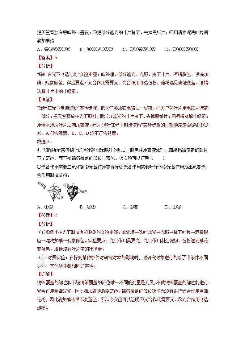 3.5.1 光合作用（第2课时）（解析版）第3页