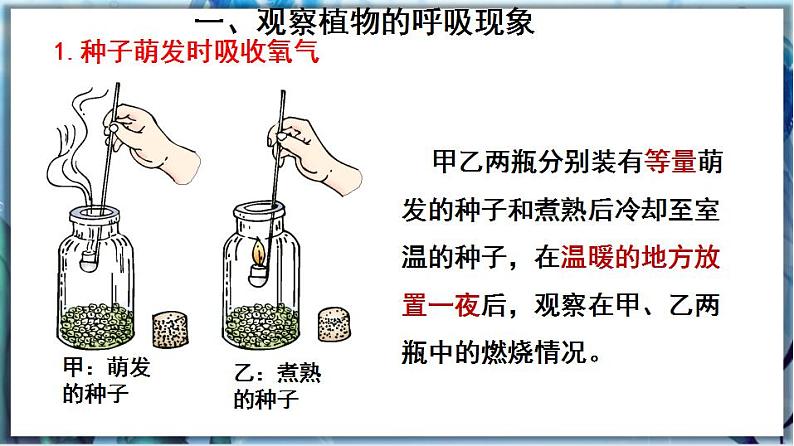 北师大版七上生物3.5.2《呼吸作用》课件+同步练习05