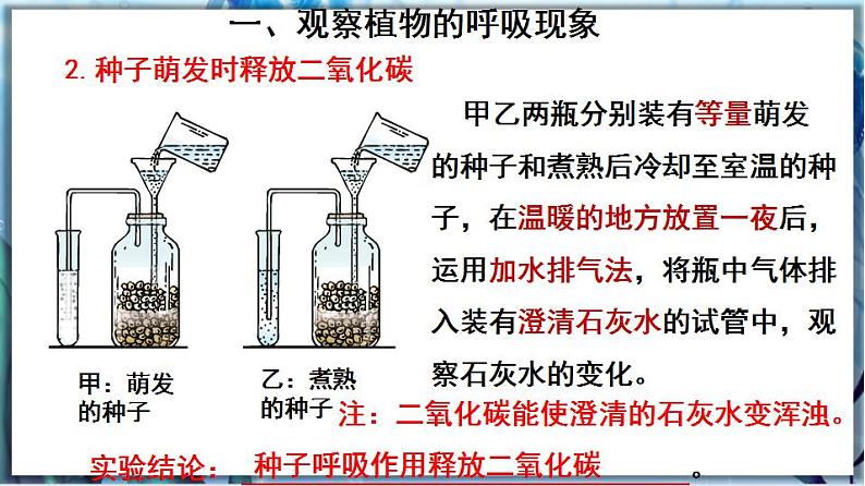 北师大版七上生物3.5.2《呼吸作用》课件+同步练习07