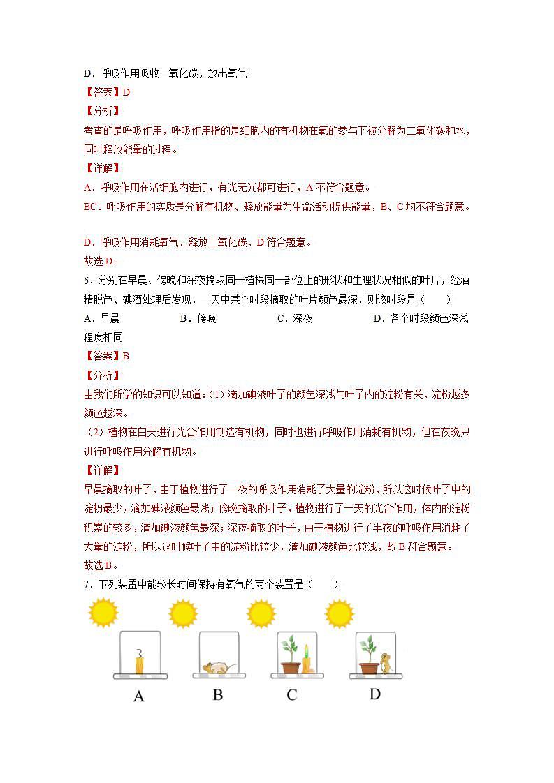 北师大版七上生物3.5.2《呼吸作用》课件+同步练习03