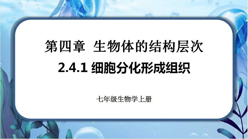 2.4.1 细胞分化形成组织第1页