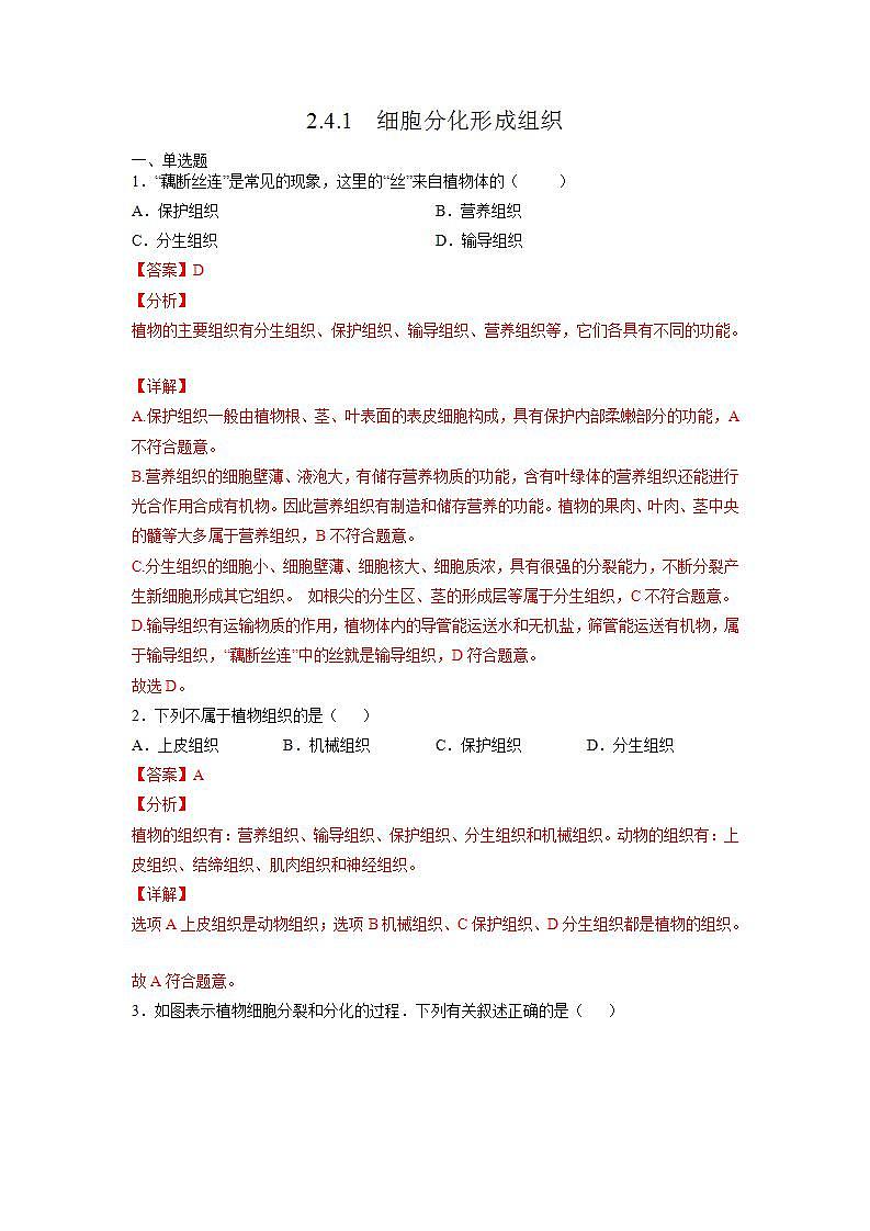 2.4.1 细胞分化形成组织（解析版）第1页