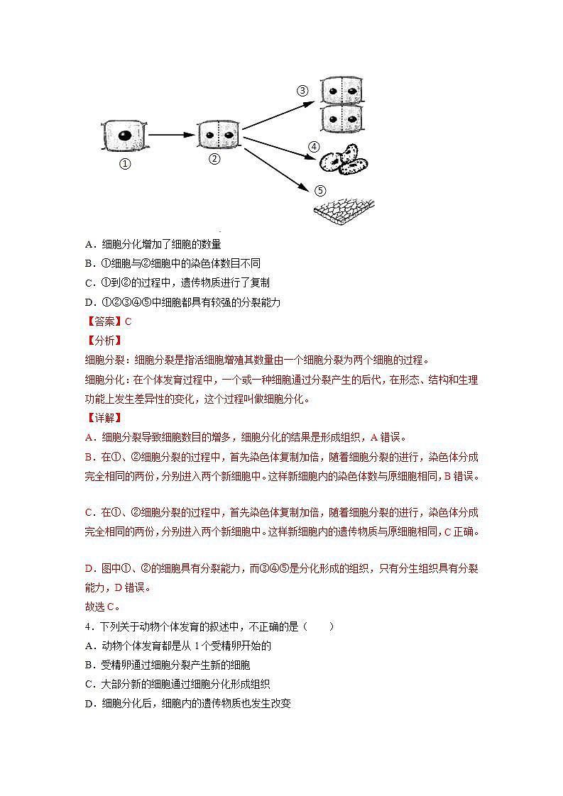 2.4.1 细胞分化形成组织（解析版）第2页