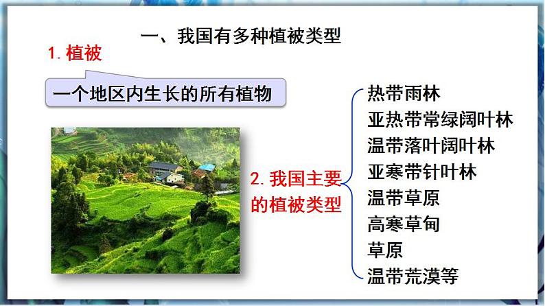 北师大版七上生物3.7.2《我国的植物资源》课件+同步练习03