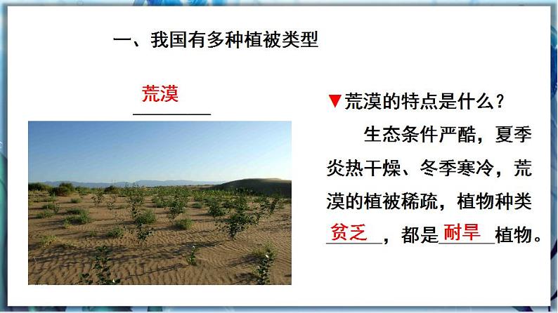 北师大版七上生物3.7.2《我国的植物资源》课件+同步练习04