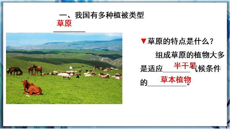 北师大版七上生物3.7.2《我国的植物资源》课件+同步练习05