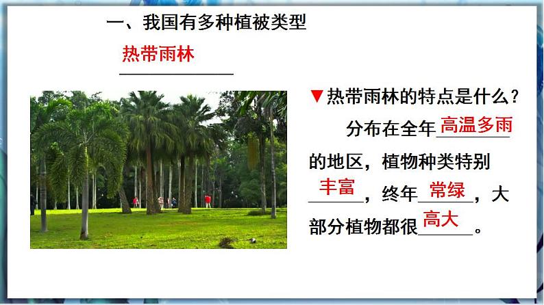 北师大版七上生物3.7.2《我国的植物资源》课件+同步练习06