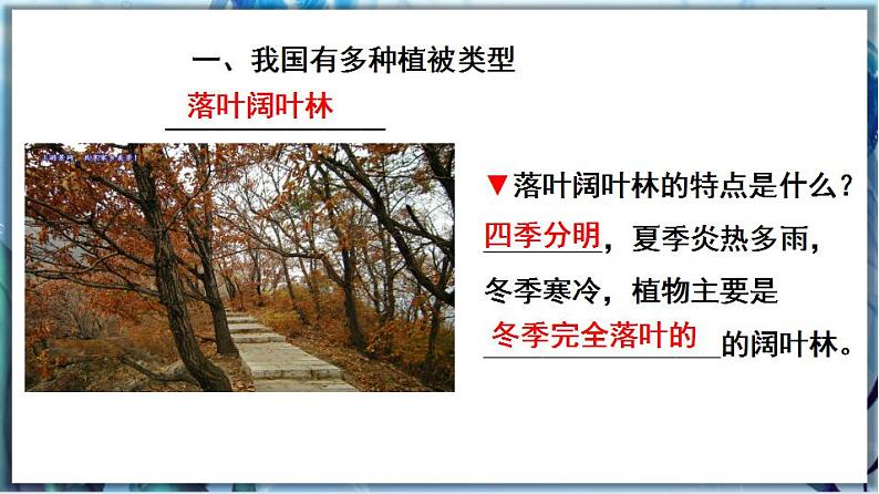 北师大版七上生物3.7.2《我国的植物资源》课件+同步练习08