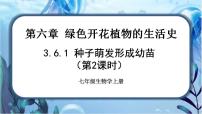 初中生物第三单元  生物圈中的绿色植物第6章  绿色开花植物的生活史第1节 种子萌发形成幼苗精品ppt课件