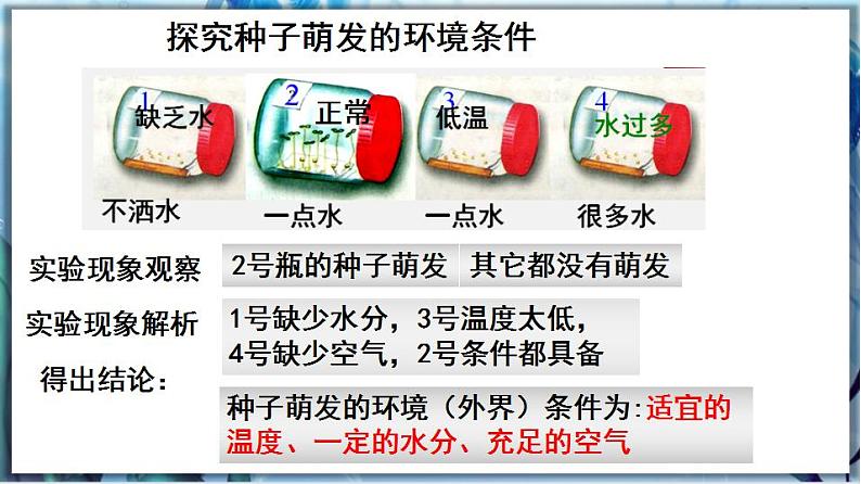 3.6.1 种子萌发形成幼苗（第2课时）第6页