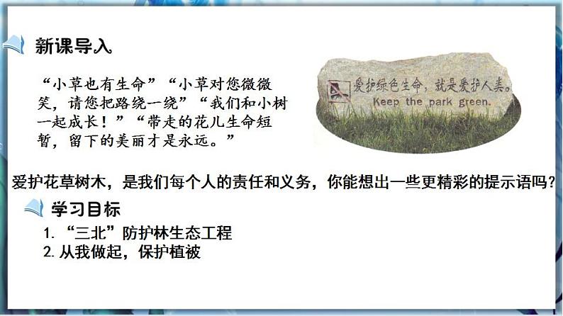 北师大版七上生物3.7.3《我国的绿色生态工程》课件+同步练习02