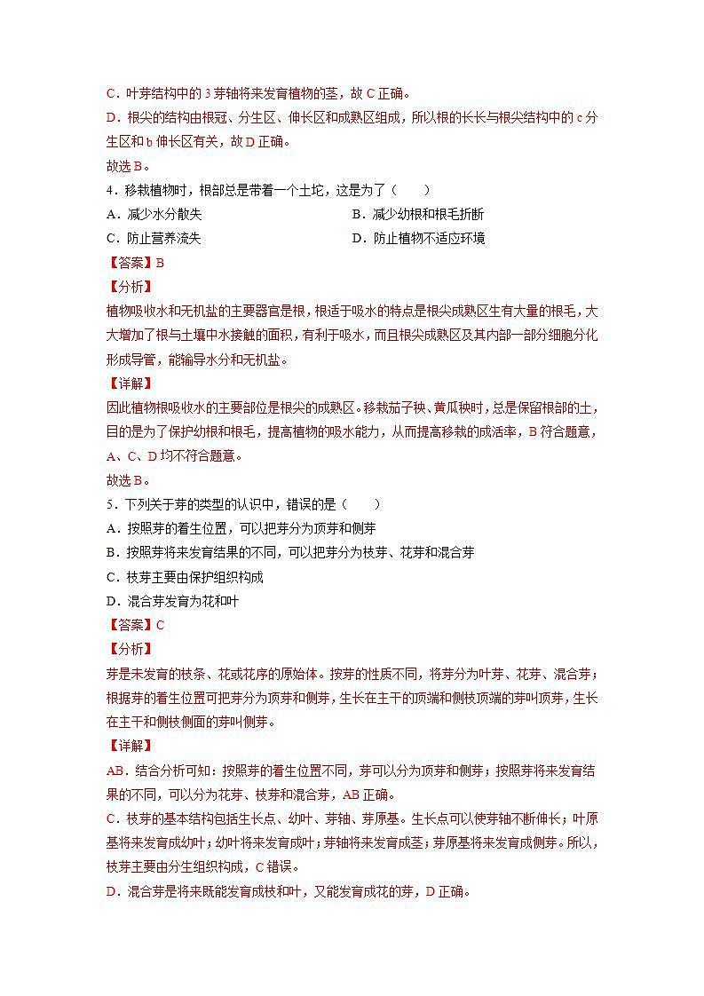 3.6.2 营养器官的生长（解析版）第3页