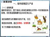 北师大版七上生物3.7.1《绿色植物在生物圈中的作用》课件+同步练习