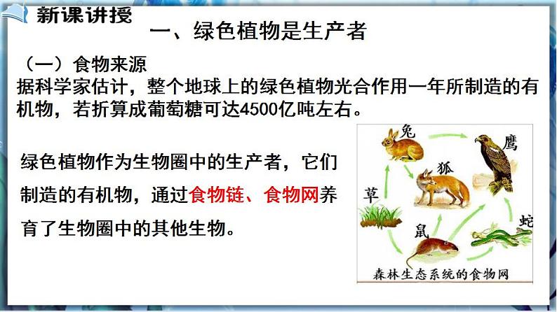 北师大版七上生物3.7.1《绿色植物在生物圈中的作用》课件+同步练习03