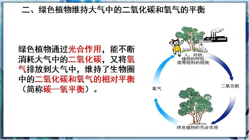 北师大版七上生物3.7.1《绿色植物在生物圈中的作用》课件+同步练习05