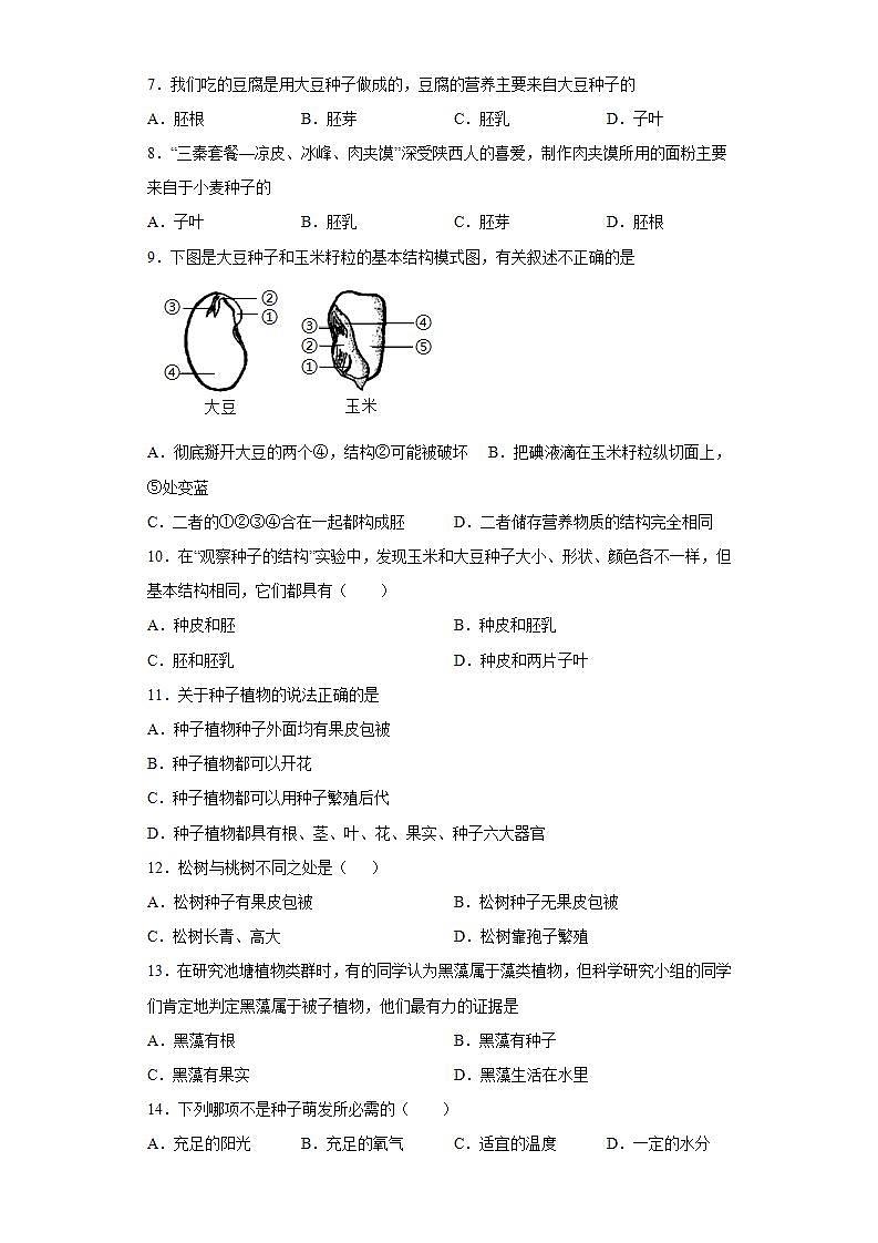 河南省三门峡市渑池县2021-2022学年七年级上学期期末生物试题(word版含答案)第2页