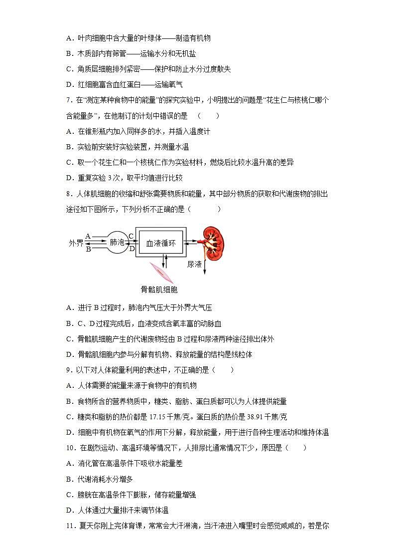 广东省湛江市廉江市2021-2022学年七年级下学期期末生物试题(word版含答案)第2页