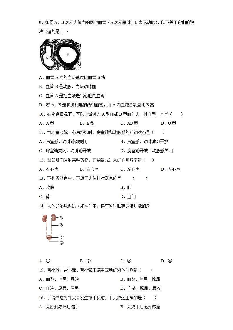 湖南省衡阳市耒阳市2021-2022学年七年级下学期期末生物试题(word版含答案)02