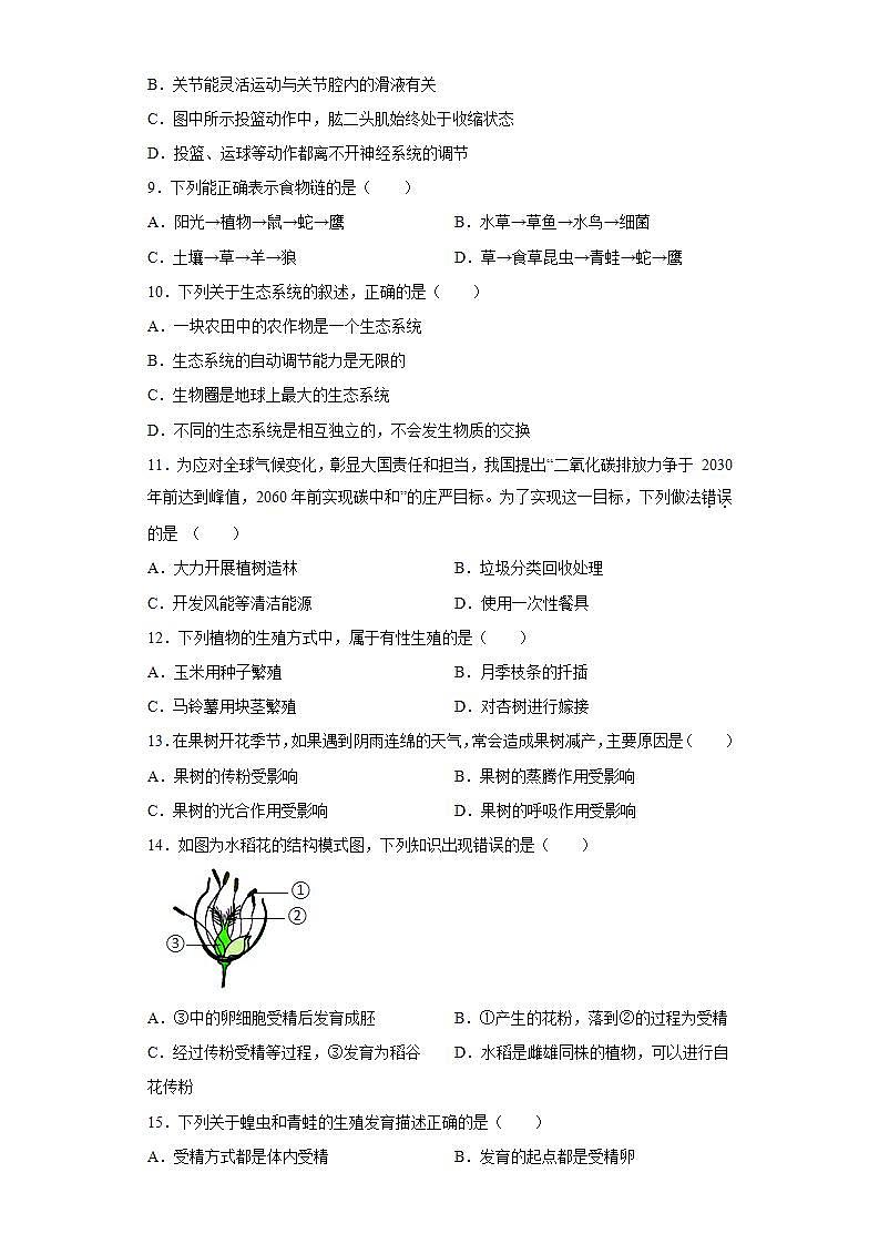 河南省洛阳市伊川县2021-2022学年八年级上学期期末生物试题(word版含答案)02