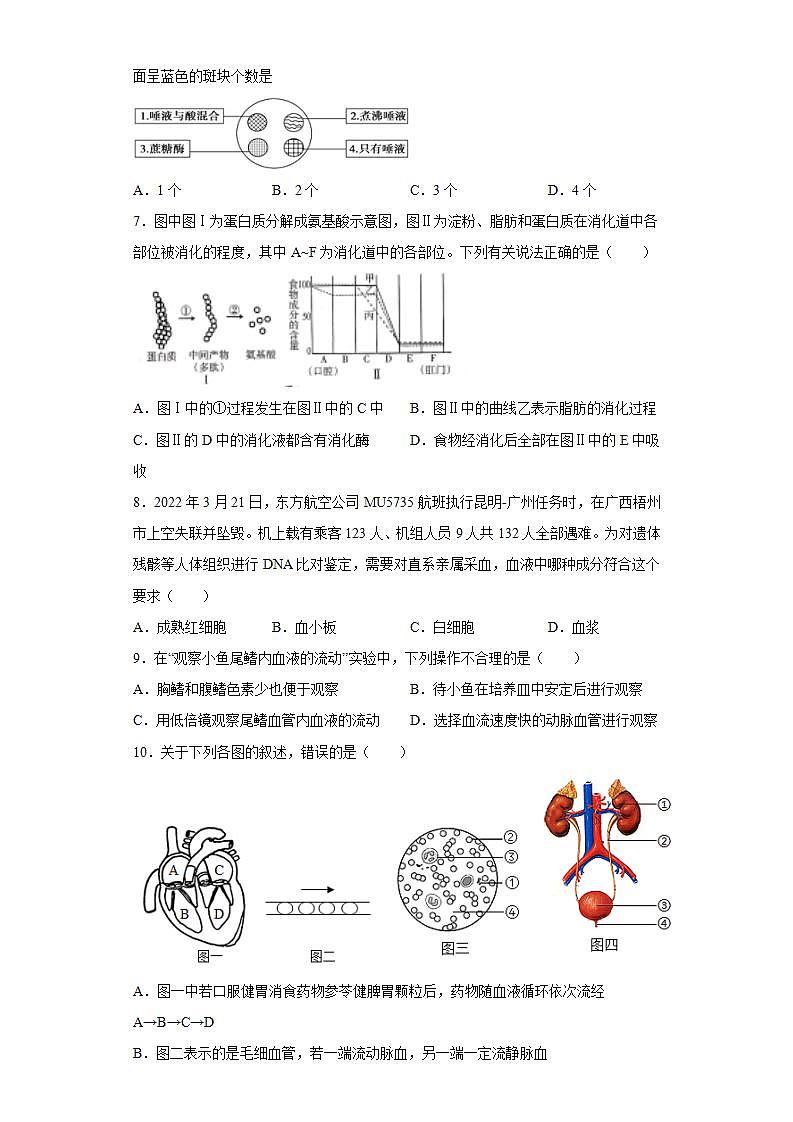 湖南省株洲市渌口区2021-2022学年七年级下学期期末生物试题(word版含答案)第2页