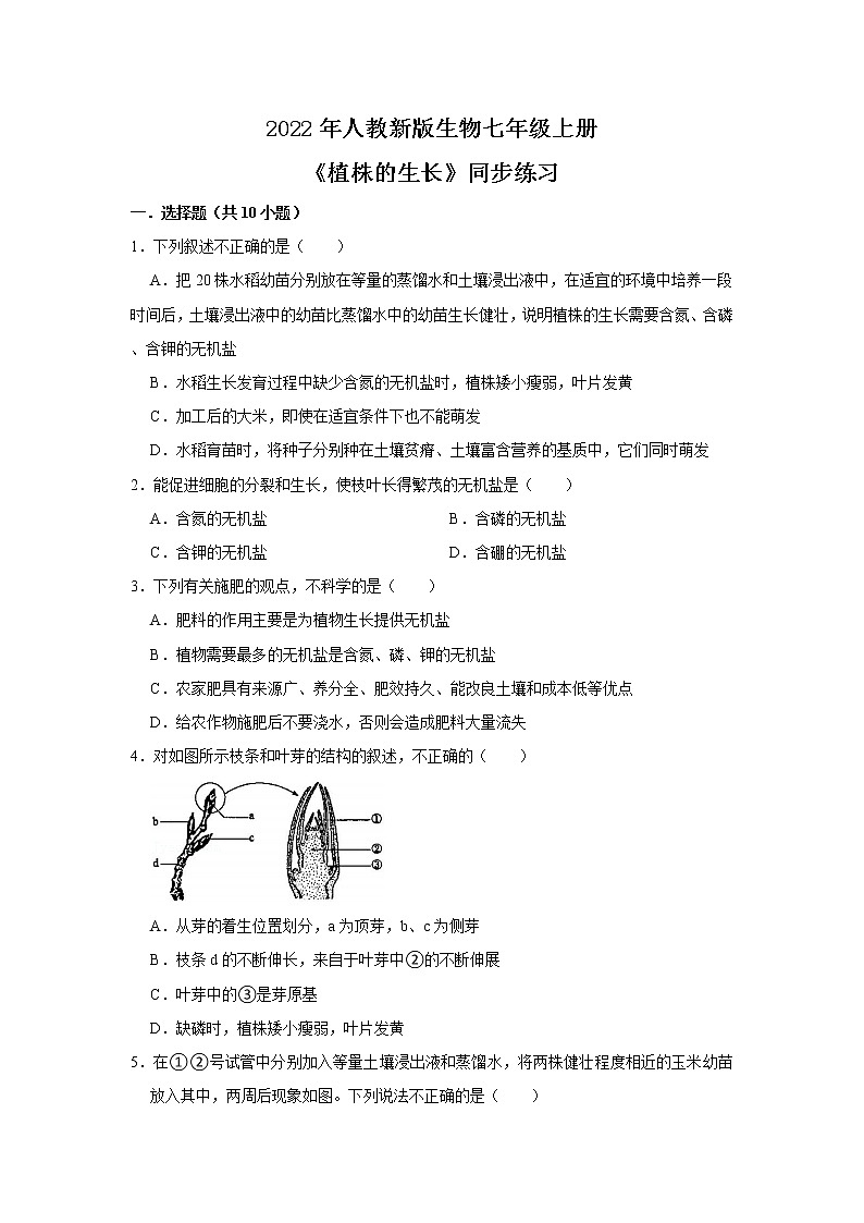 人教新版生物七年级上册《植株的生长》课件+教案+练习01