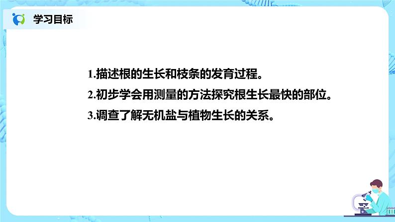 人教新版生物七年级上册《植株的生长》课件+教案+练习02