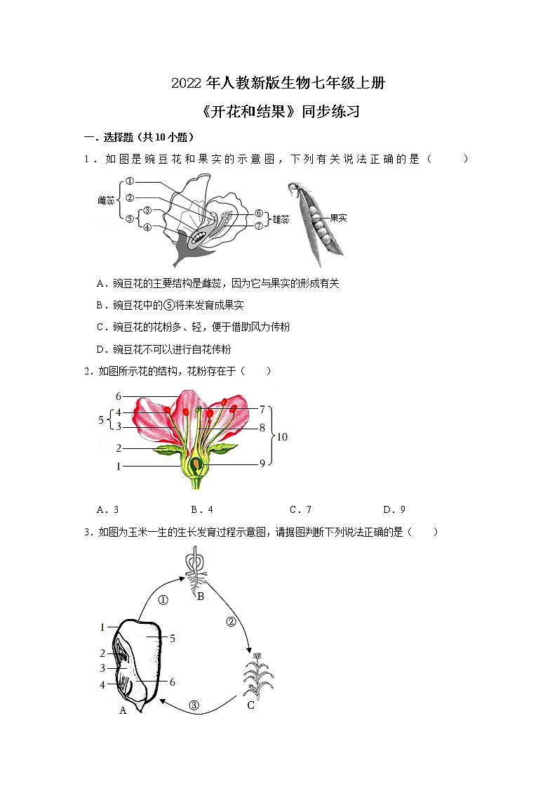 人教新版生物七年级上册《开花和结果》课件+教案+练习01