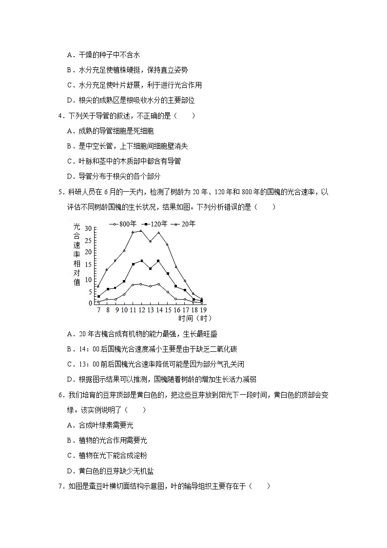 人教新版生物七年级上册《绿色植物与生物圈的水循环》课件+教案+练习02