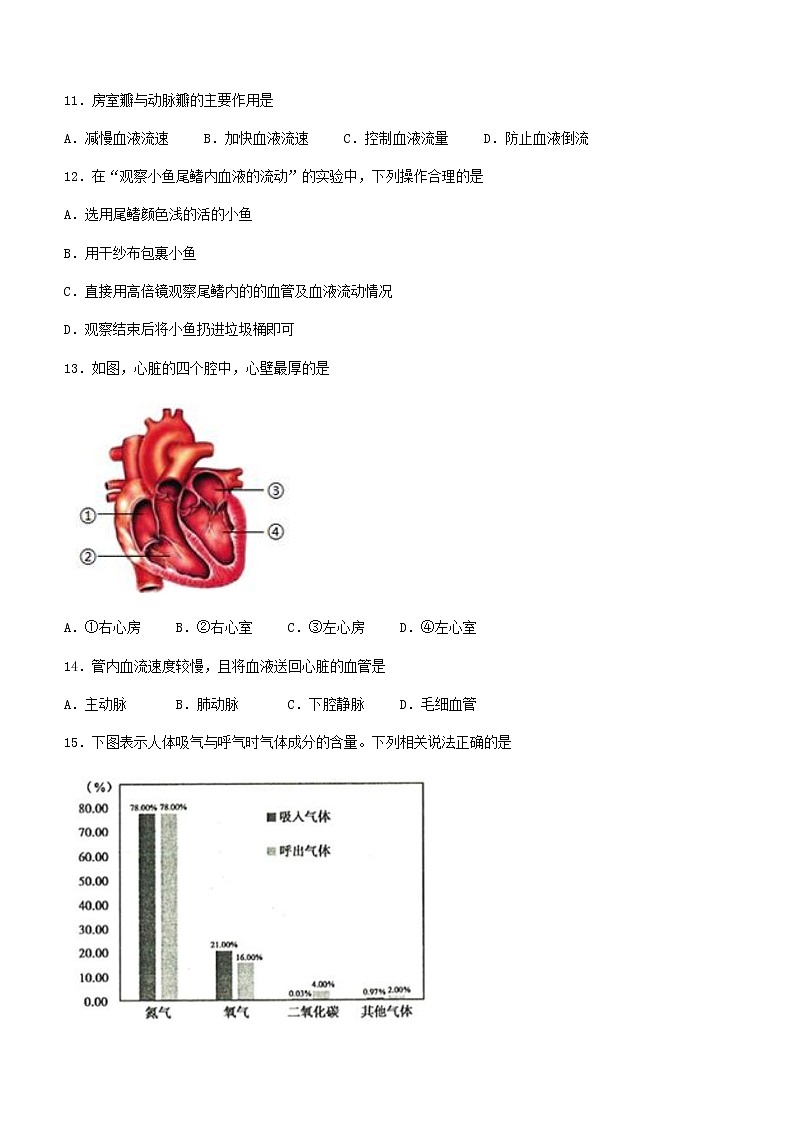 辽宁省鞍山市2021-2022学年七年级下学期期末生物试题(word版含答案)第3页