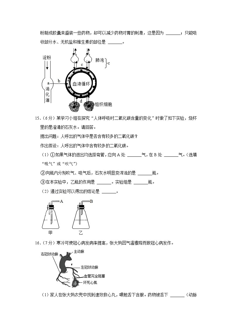 辽宁省丹东市东港市2021-2022学年七年级下学期期末生物试卷(word版含答案)03