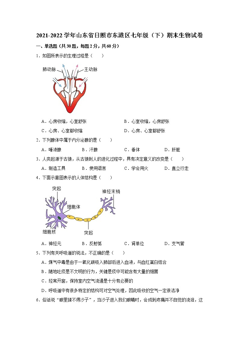 山东省日照市东港区2021-2022学年七年级下学期期末生物试卷(word版含答案)第1页