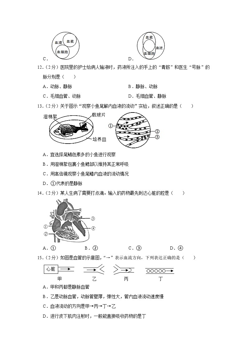 广东省肇庆市鼎湖区2021-2022学年七年级下学期期末生物试卷(word版含答案)03