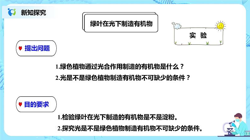 人教新版生物七年级上册《绿色植物是生物圈中有机物的制造者》课件+教案+练习04