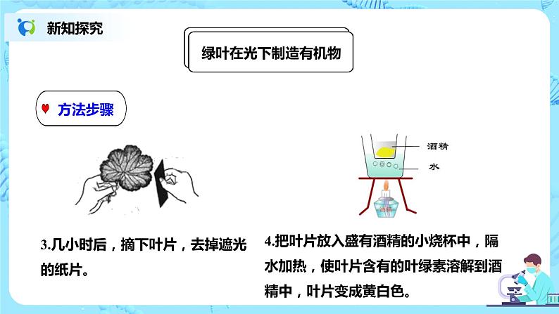 人教新版生物七年级上册《绿色植物是生物圈中有机物的制造者》课件+教案+练习07