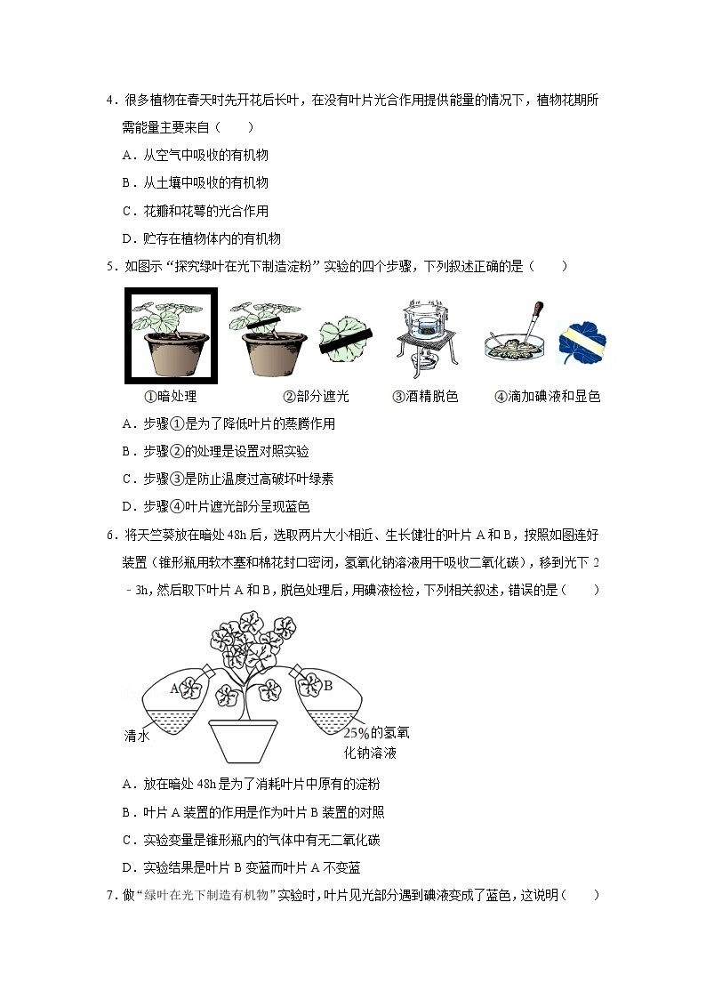 人教新版生物七年级上册《绿色植物是生物圈中有机物的制造者》课件+教案+练习02