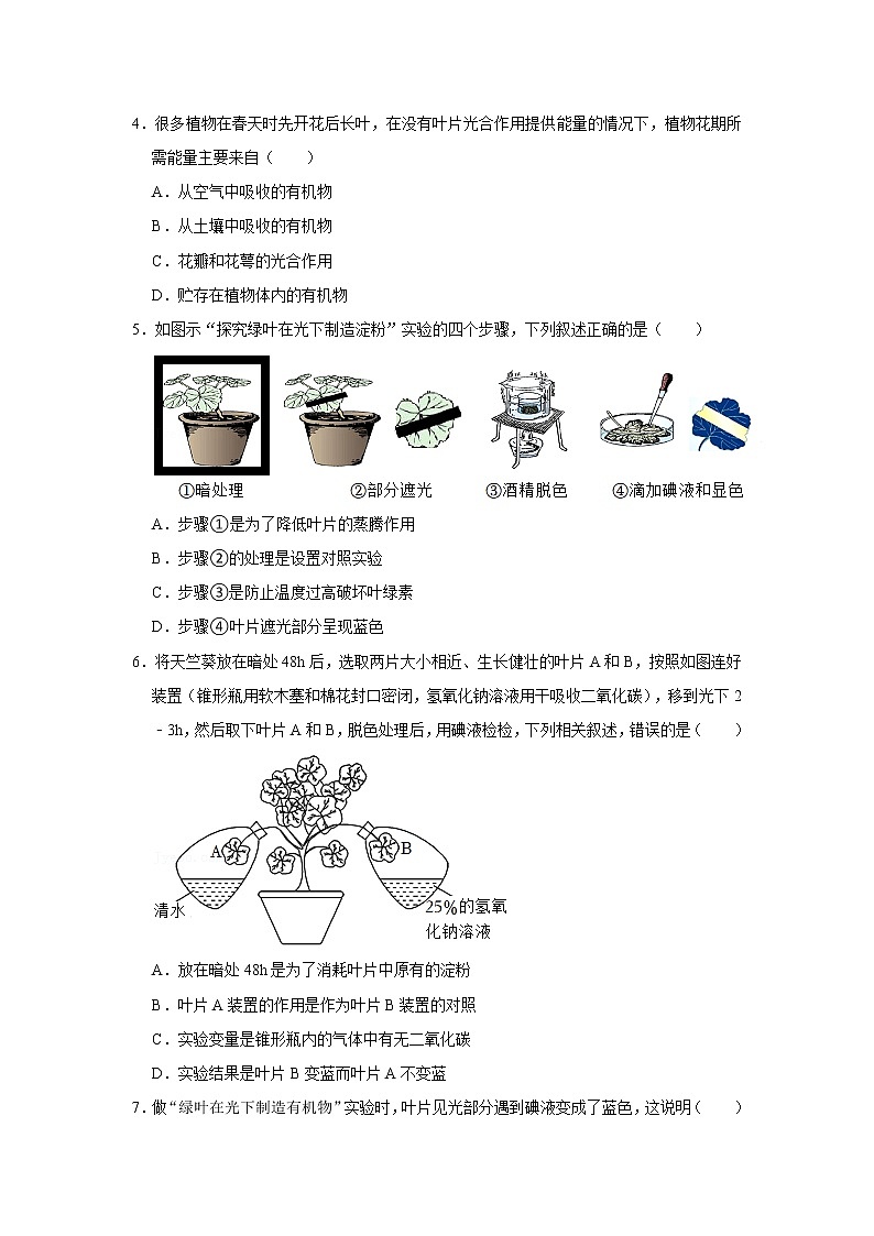 人教新版生物七年级上册《绿色植物是生物圈中有机物的制造者》课件+教案+练习02