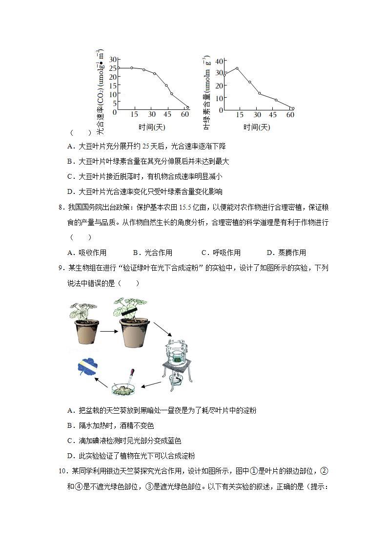 人教新版生物七年级上册《光合作用吸收二氧化碳释放氧气》课件+教案+练习03