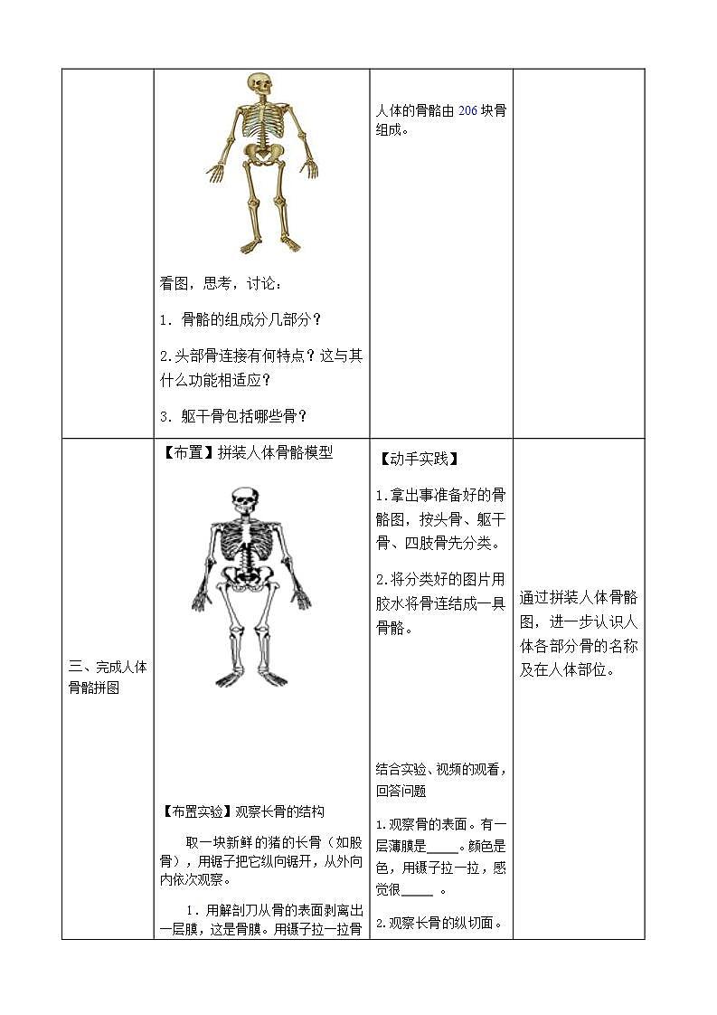 苏科版生物八年级上册 17.1人体的运动-人体的支架――骨骼教案03