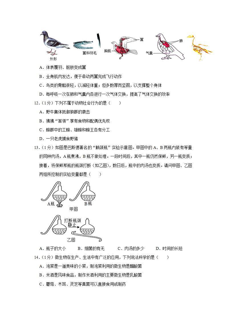 河南省南阳市镇平县2021-2022学年八年级下学期期末生物试卷第3页
