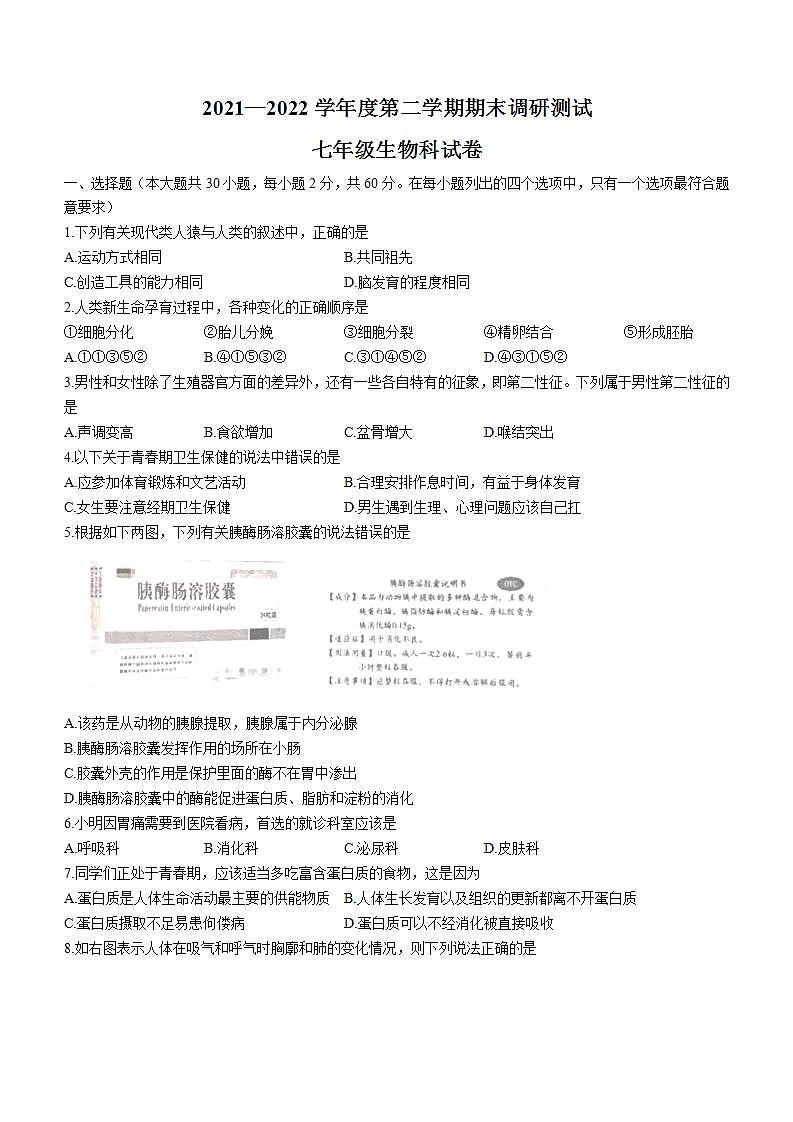 广东省江门市恩平市2021-2022学年七年级下学期期末生物试题(word版含答案)01