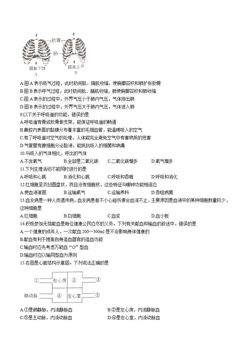 广东省江门市恩平市2021-2022学年七年级下学期期末生物试题(word版含答案)02