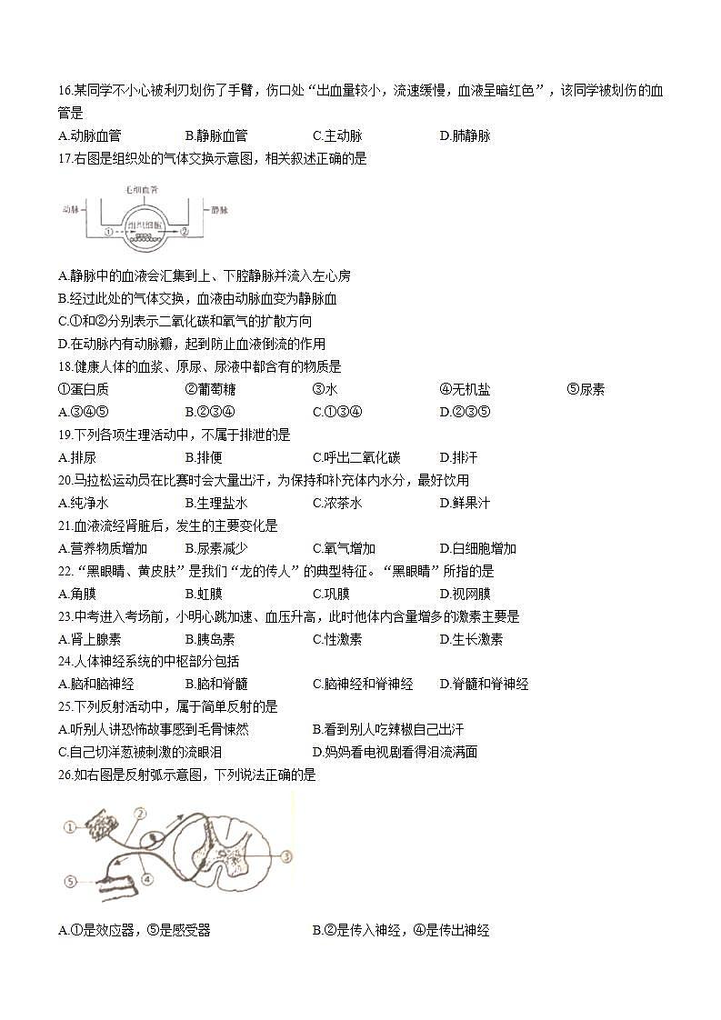 广东省江门市恩平市2021-2022学年七年级下学期期末生物试题(word版含答案)03