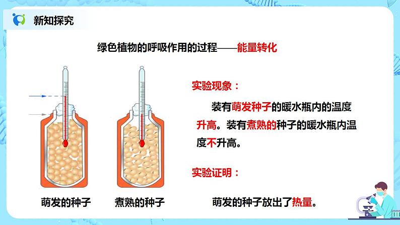 人教新版生物七年级上册《绿色植物的呼吸作用》课件+教案+练习05