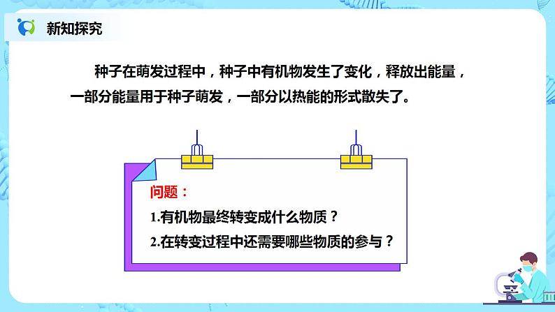 人教新版生物七年级上册《绿色植物的呼吸作用》课件+教案+练习06