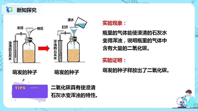 人教新版生物七年级上册《绿色植物的呼吸作用》课件+教案+练习07