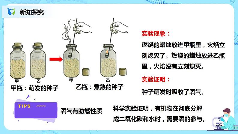 人教新版生物七年级上册《绿色植物的呼吸作用》课件+教案+练习08