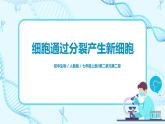 人教新版生物七年级上册《细胞通过分裂产生新细胞》课件+教案+练习