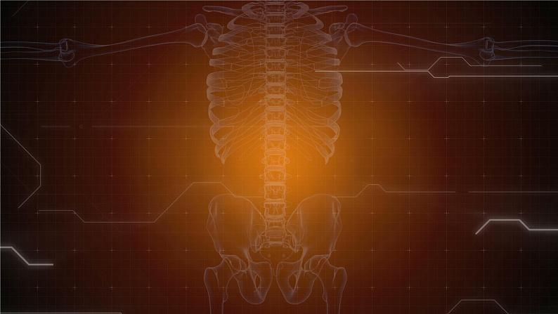 人教新版生物七年级上册《细胞通过分裂产生新细胞》课件+教案+练习04